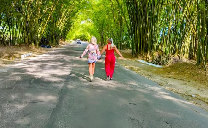 6 Days Cheap Tour to Montego Bay, St. Elizabeth & Negril - Cheapest Time