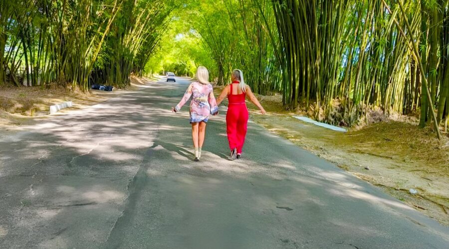 6 Days Cheap Tour to Montego Bay, St. Elizabeth & Negril - Cheapest Time