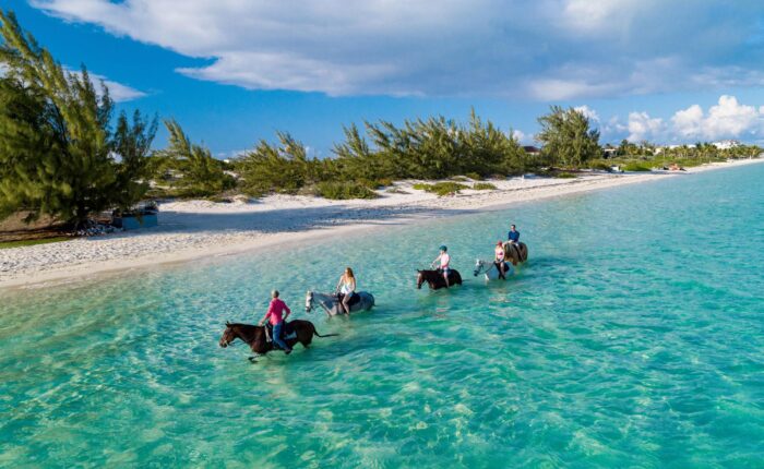 Budget Horseback Riding Experience in Jamaica - Cheapest Time