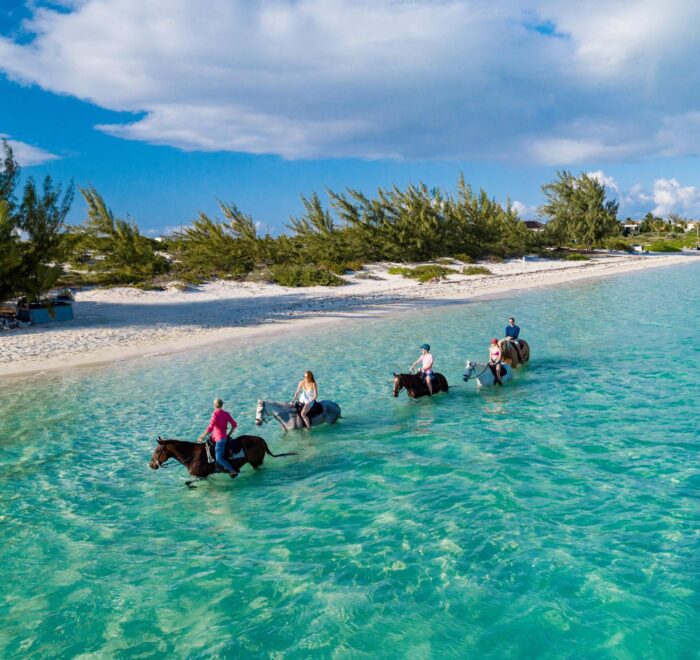 Budget Horseback Riding Experience in Jamaica - Cheapest Time