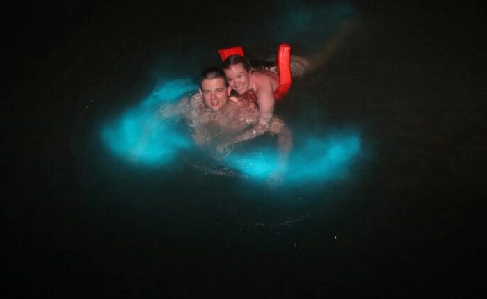 Mystic Luminous Lagoon on a Budget Tour - Cheapest Time