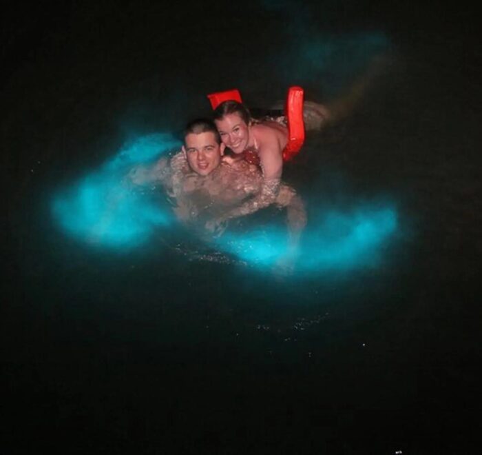 Mystic Luminous Lagoon on a Budget Tour - Cheapest Time