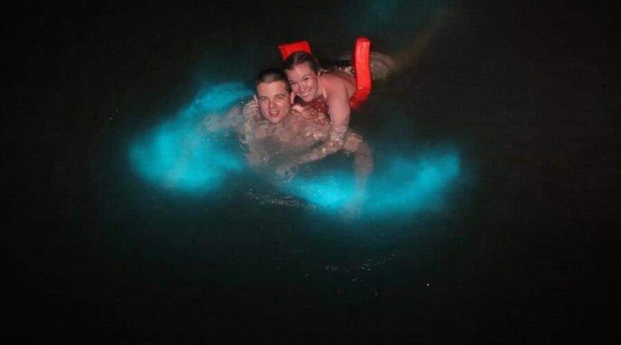 Mystic Luminous Lagoon on a Budget Tour - Cheapest Time