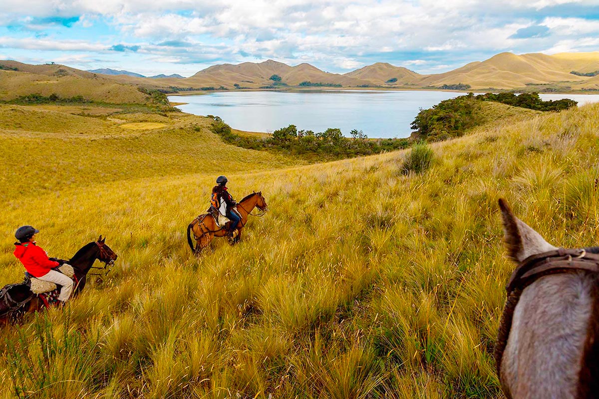 North Seymour Island, Galápagos - Cheapest Time