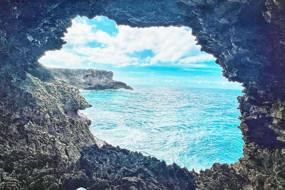 Animal Flower Cave, Barbados - Cheapest Time