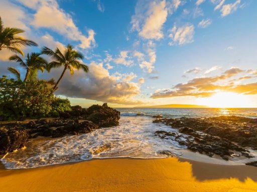 Cheapest Time to Go to Maui - Cheapest Time