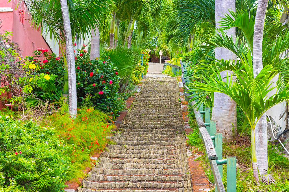 99 Steps, St. Thomas - Cheapest Time