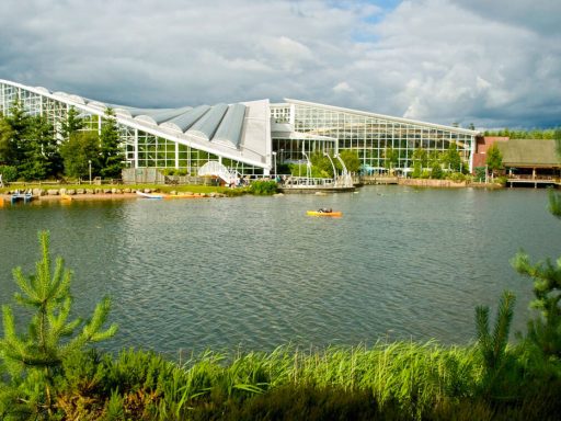 Cheapest Time to Go to Centre Parcs - Cheapest Time