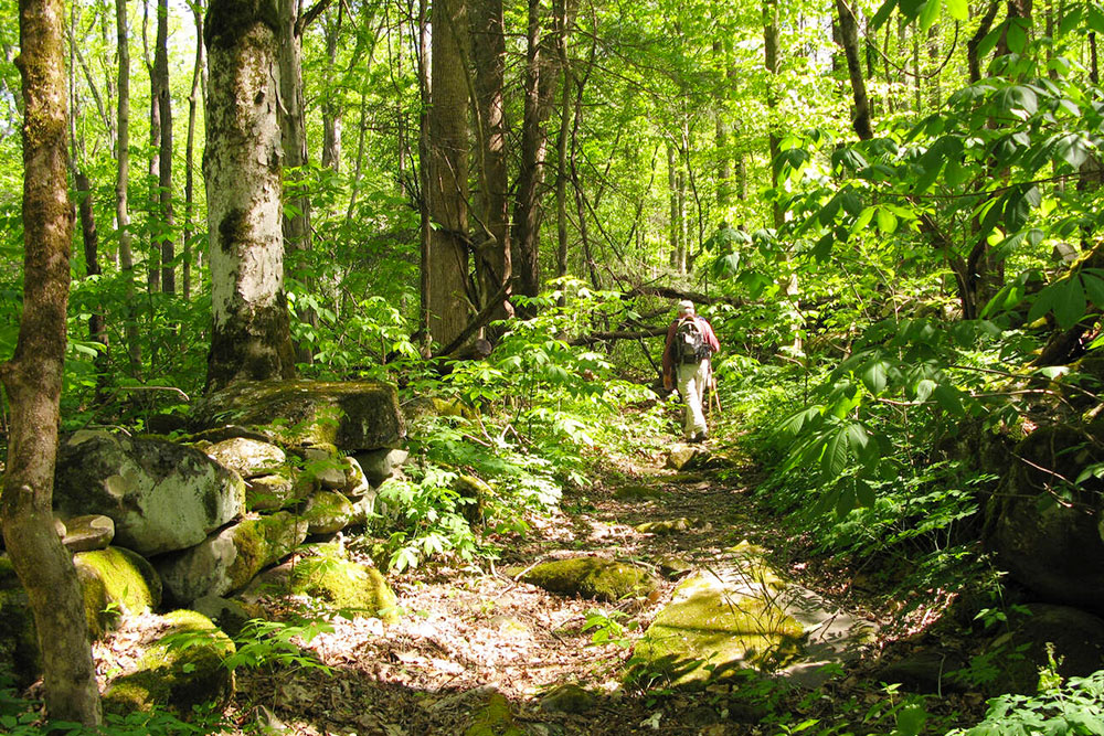 Great Smoky Mountains National Park, Gatlinburg - Cheapest Time
