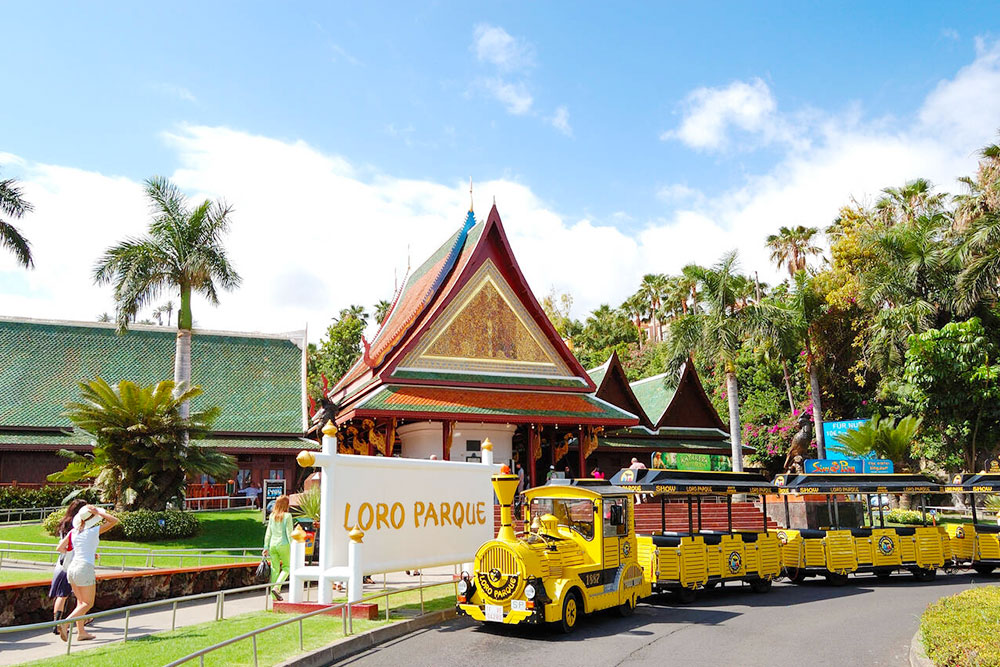Loro Parque, Tenerife - Cheapest Time