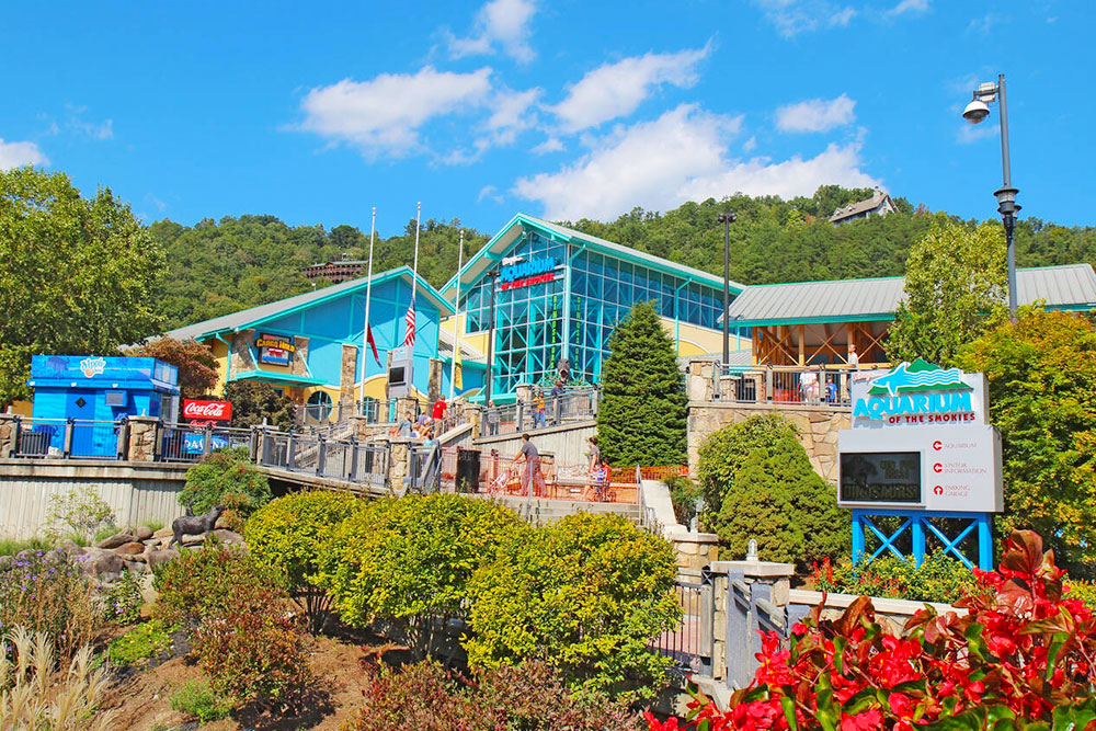 Ripley's Aquarium of the Smokies, Gatlinburg - Cheapest Time
