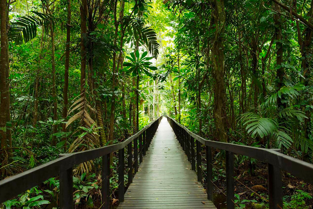 Cahuita National Park, Limón City - Cheapest Time