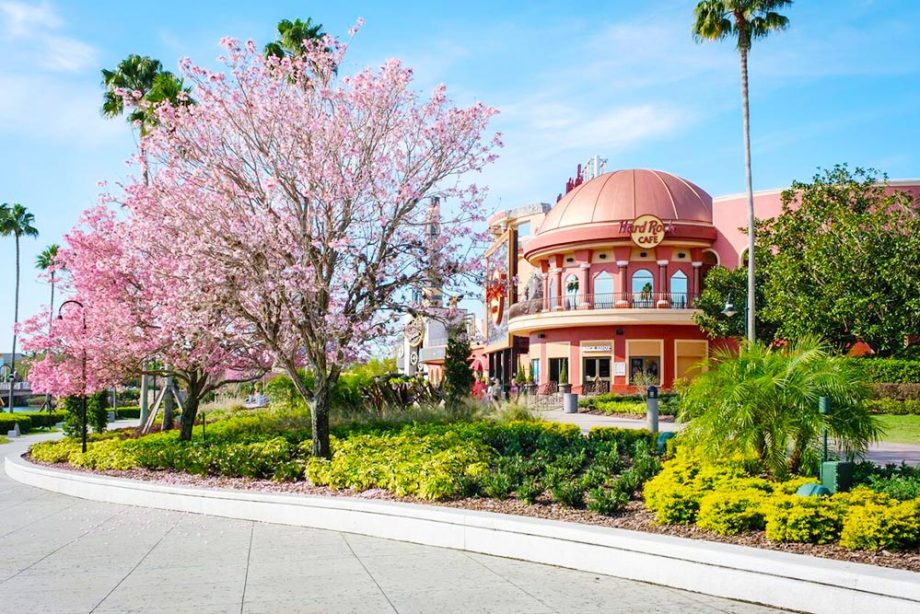 10 Cheap Warm Places to Visit in February in USA