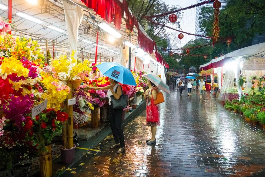 Visiting Singapore in the Monsoon 2025 A Practical Guide
