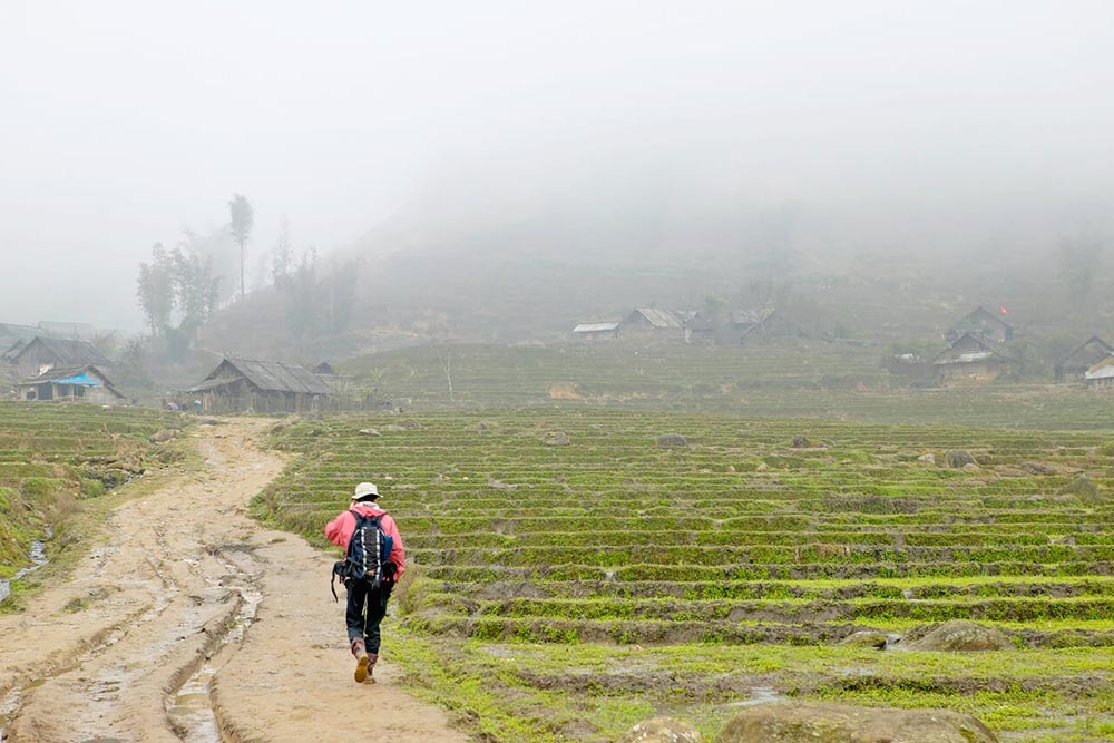 Hike in Sapa - Cheapest Time