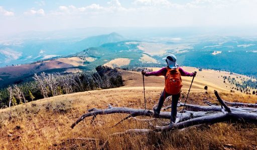 Cheapest Time to Visit Yellowstone National Park - Cheapest Time
