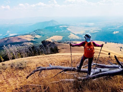 Cheapest Time to Visit Yellowstone National Park - Cheapest Time
