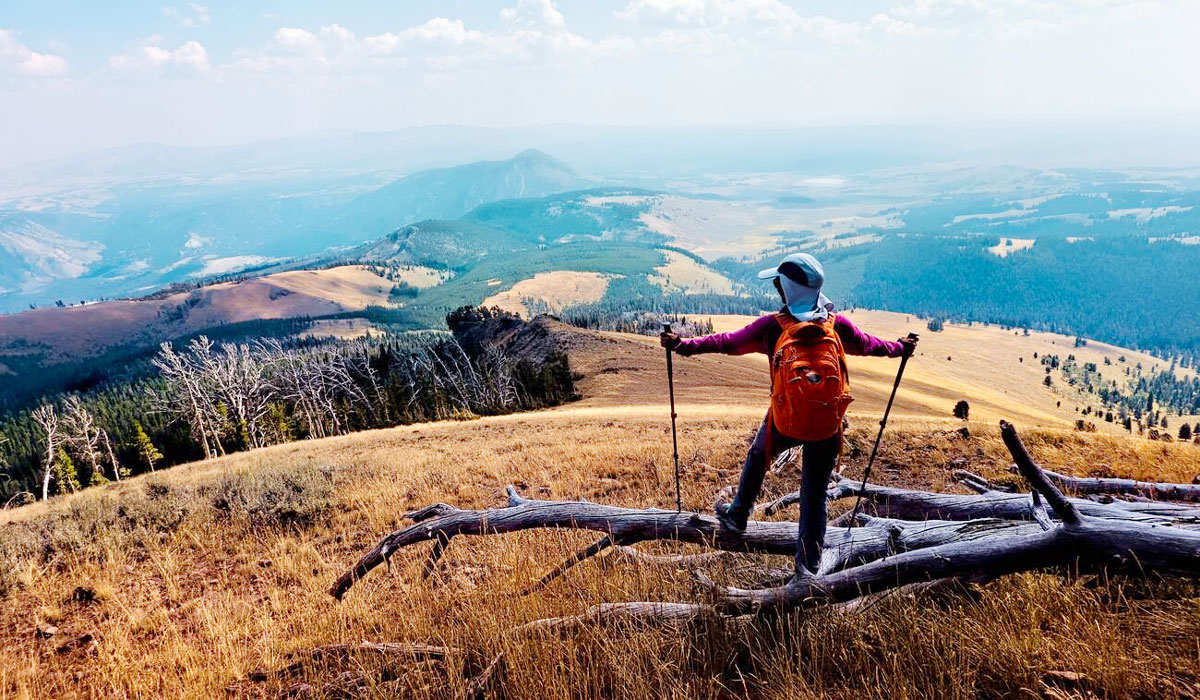 Cheapest Time to Visit Yellowstone National Park - Cheapest Time