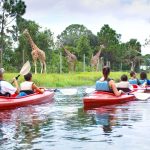 Cheap Things to Do in Melbourne With Family - Cheapest Time