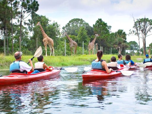 Cheap Things to Do in Melbourne With Family - Cheapest Time