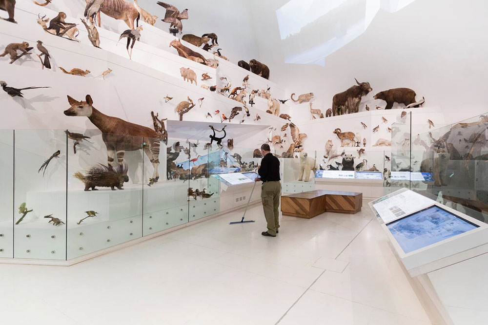 Melbourne Museum, Melbourne - Cheapest Time