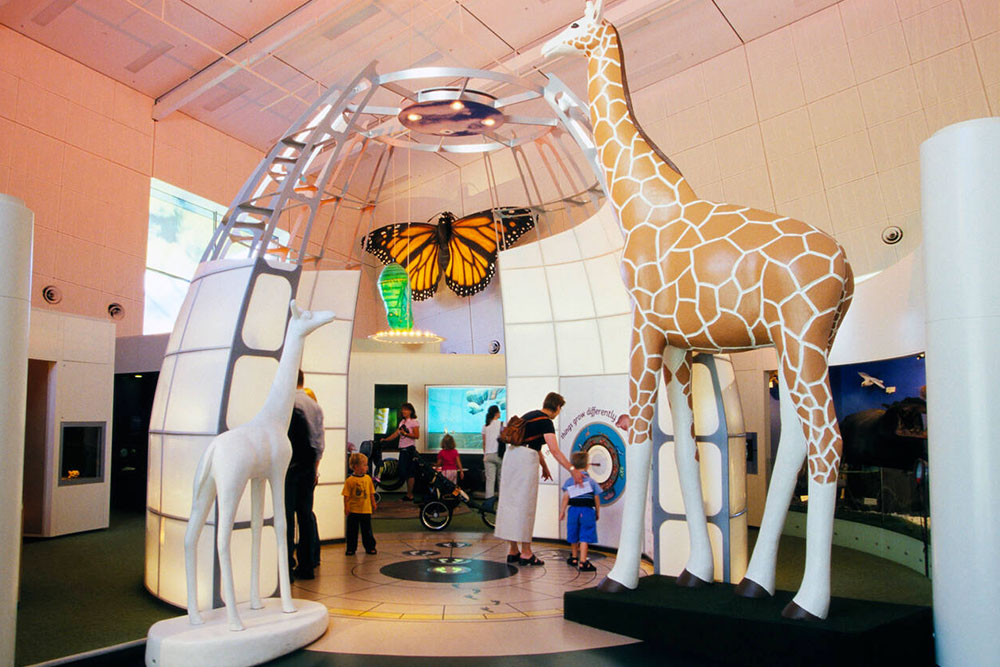 Pauline Gandel Children's Gallery, Melbourne - Cheapest Time