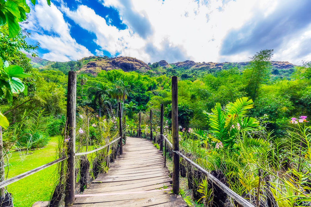 Garden of the Sleeping Giant, Fiji - Cheapest Time