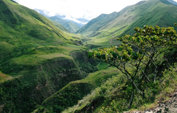 Affordable Travel Guide & Tips for Ecuador – Cheapest Time Affordable Travel Guide & Tips for Ecuador - Cheapest Time