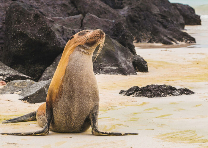 Cheapest Time to Visit Galápagos Islands - Cheapest Time